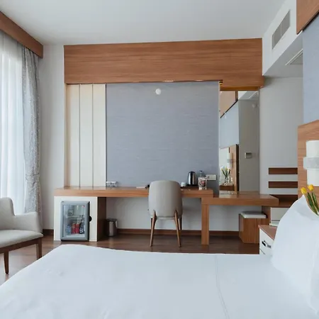 Hotel Parion
